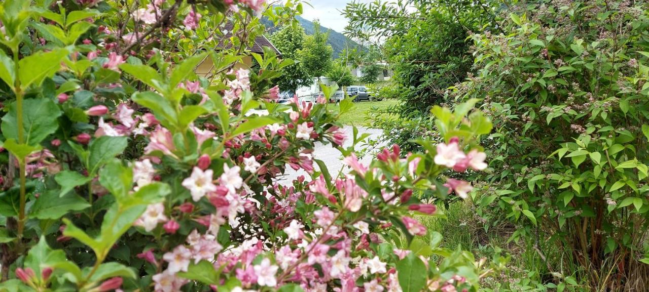 Sankt Peter am Kammersberg Camping Bella Austria מראה חיצוני תמונה