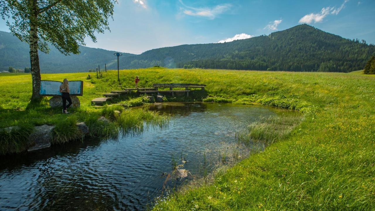 Sankt Peter am Kammersberg Camping Bella Austria מראה חיצוני תמונה